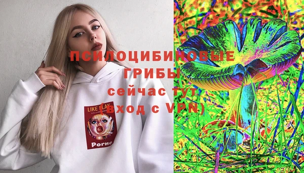 2c-b Краснотурьинск