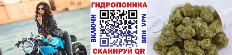 МАРИХУАНА гибрид  Купить закладки  Семёнов 